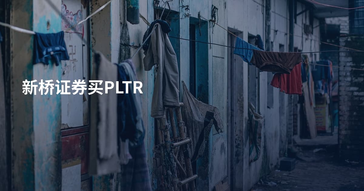 新桥证券买PLTR