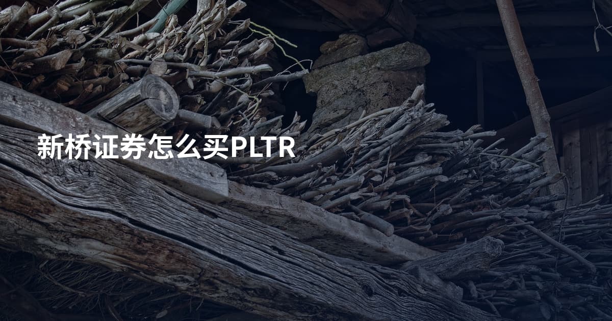 新桥证券怎么买PLTR