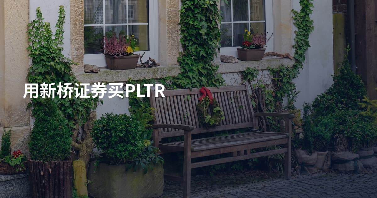 用新桥证券买PLTR