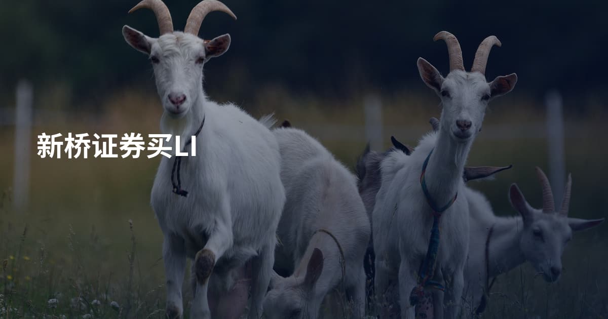 新桥证券买LI