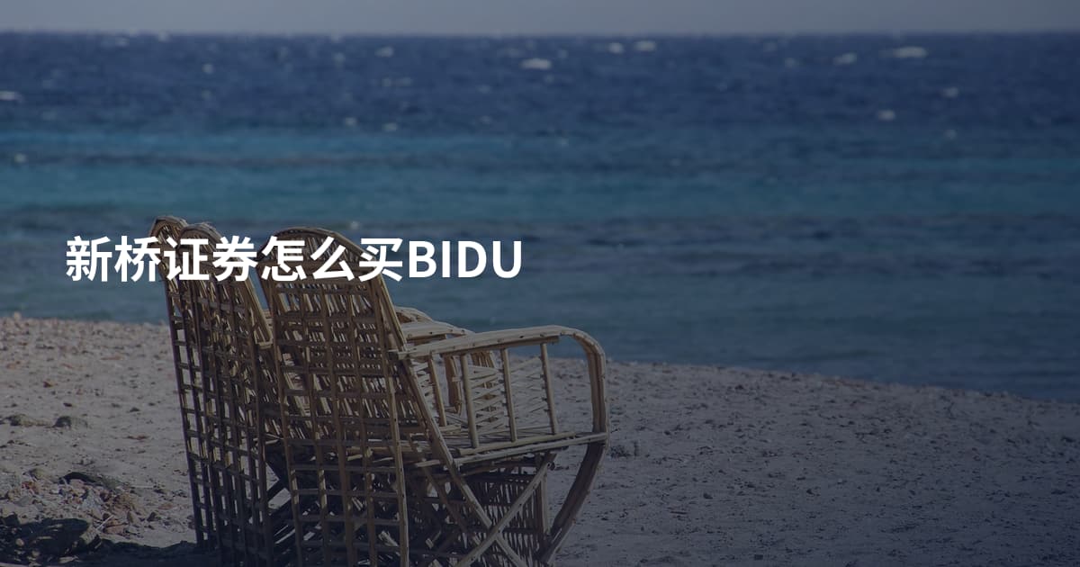 新桥证券怎么买BIDU