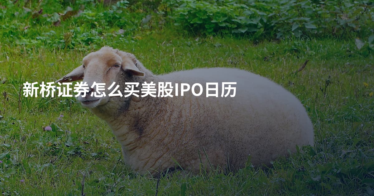 新桥证券怎么买美股IPO日历