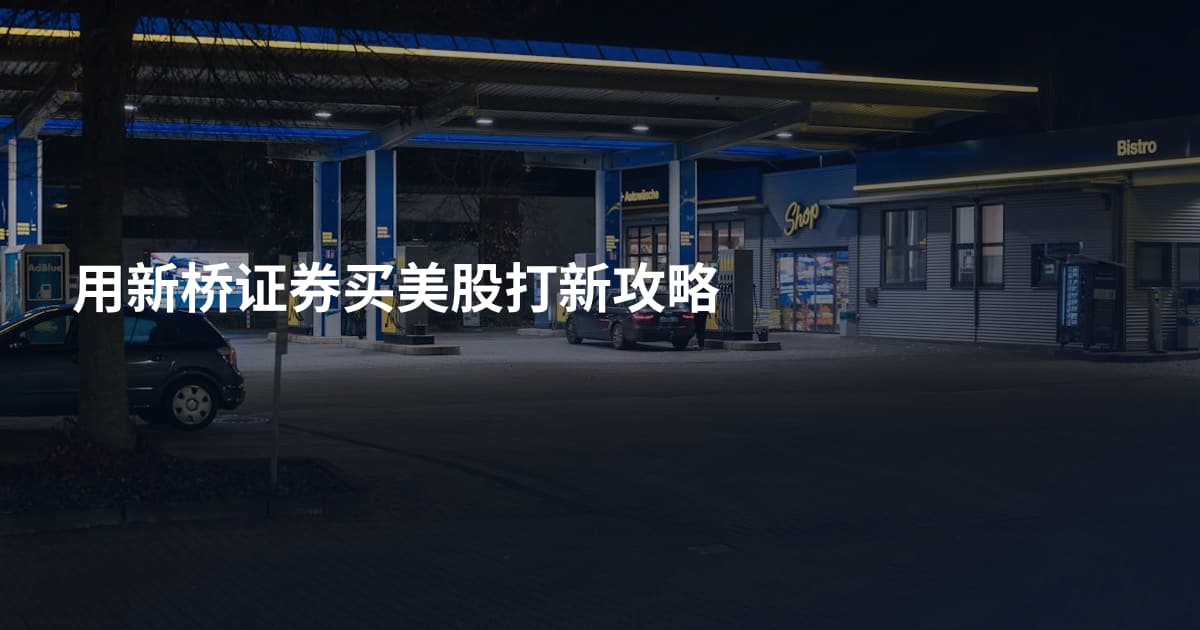 用新桥证券买美股打新攻略