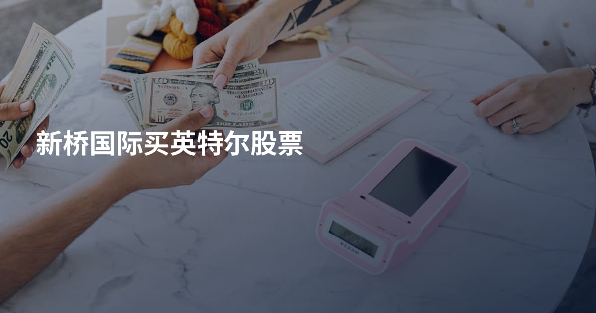 新桥国际买英特尔股票
