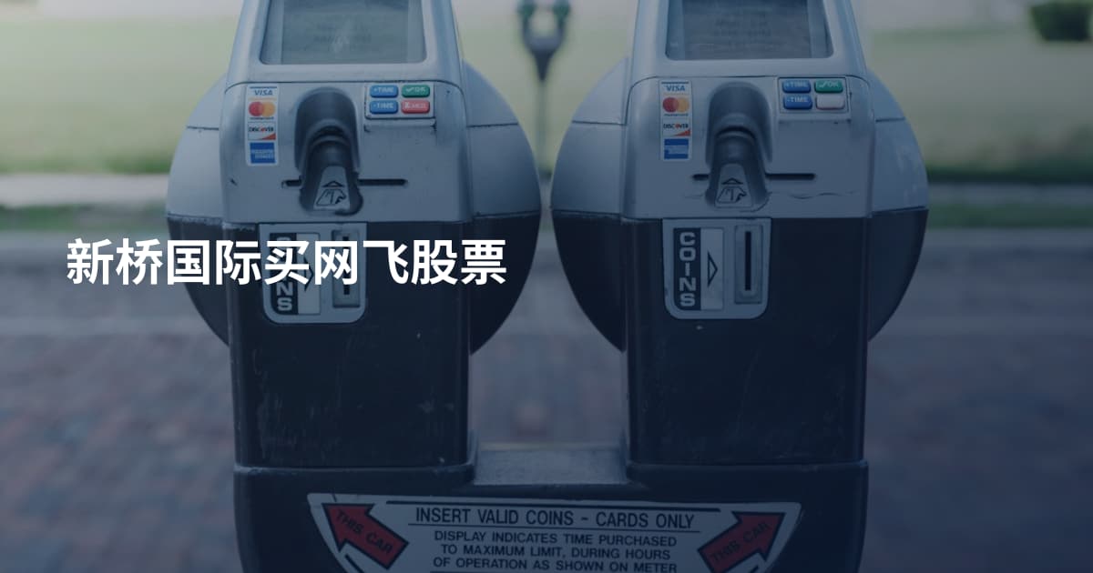 新桥国际买网飞股票