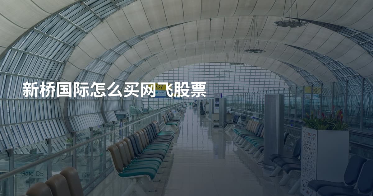 新桥国际怎么买网飞股票