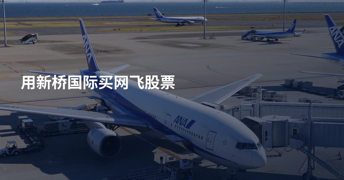 用新桥国际买网飞股票