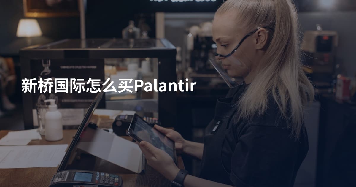 新桥国际怎么买Palantir