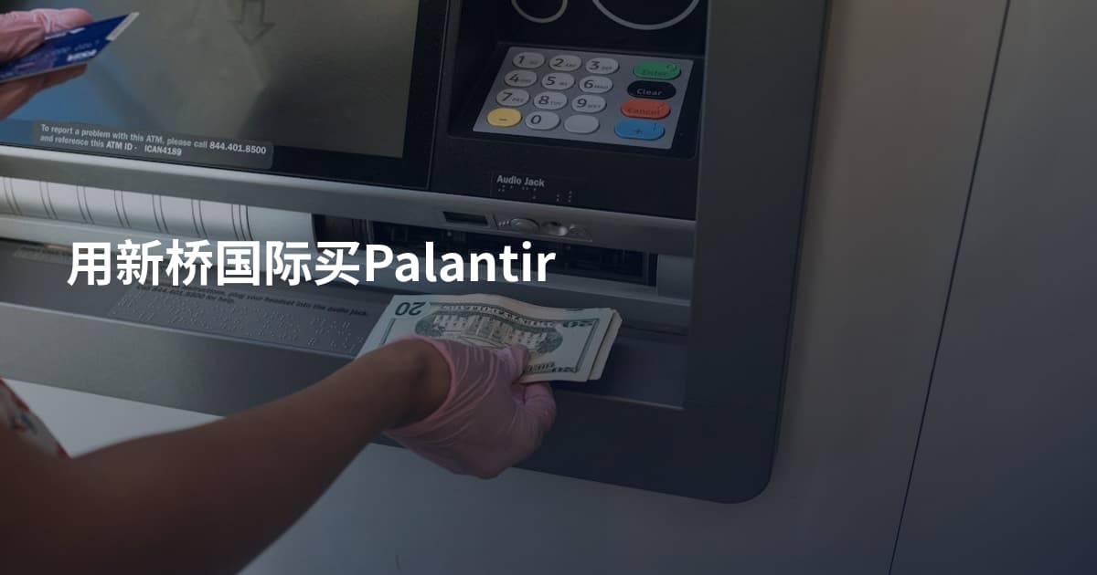 用新桥国际买Palantir
