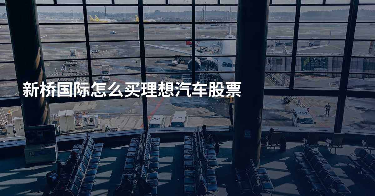 新桥国际怎么买理想汽车股票