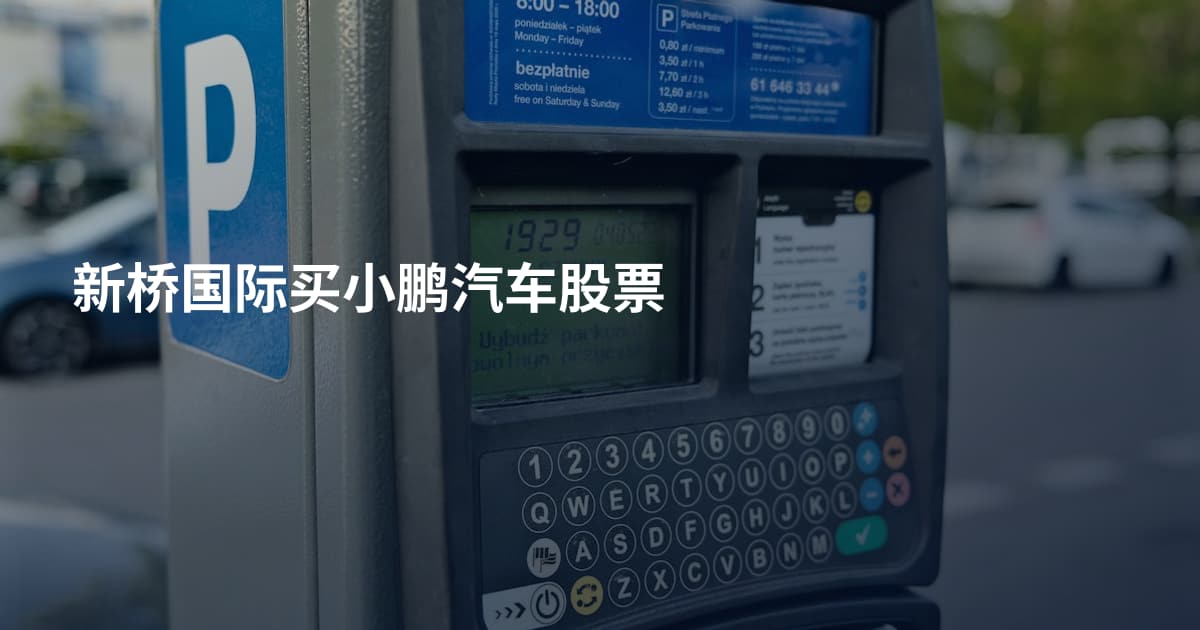 新桥国际买小鹏汽车股票