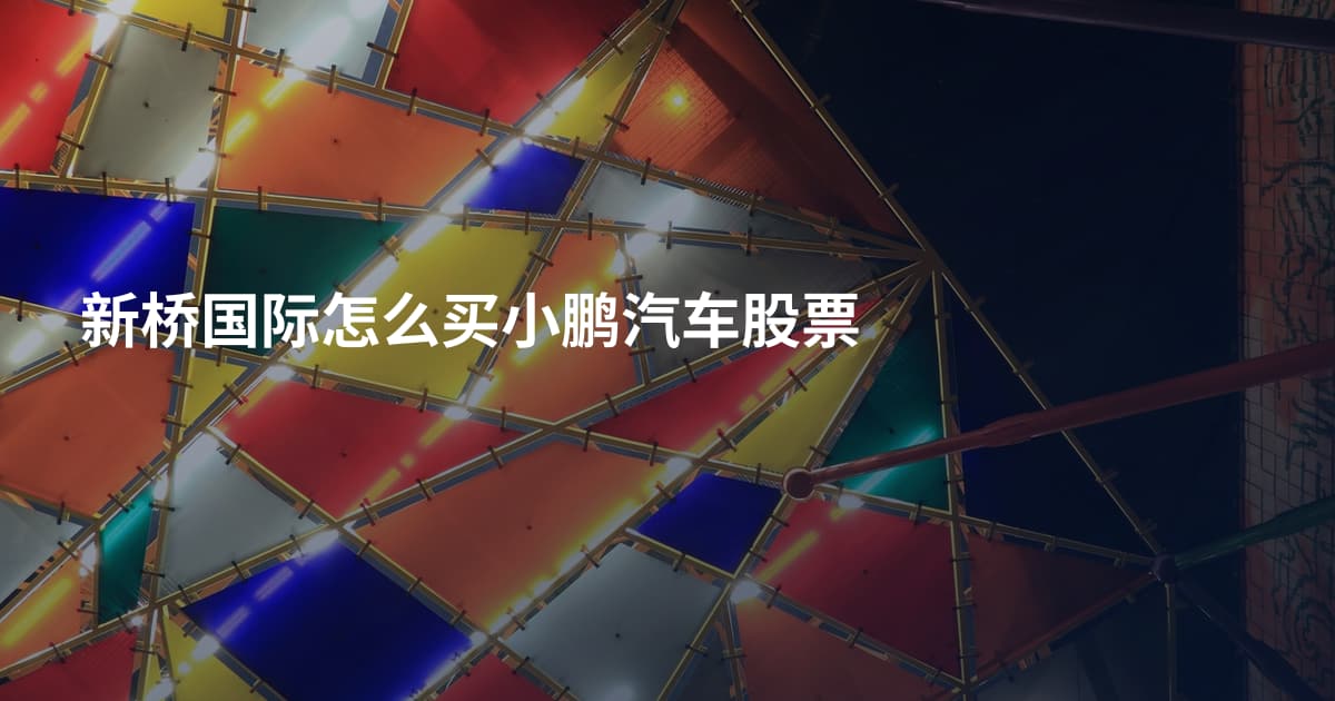新桥国际怎么买小鹏汽车股票
