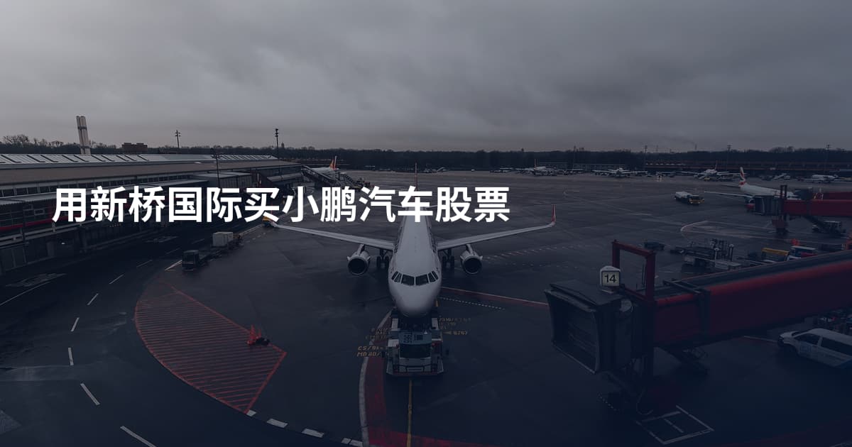 用新桥国际买小鹏汽车股票
