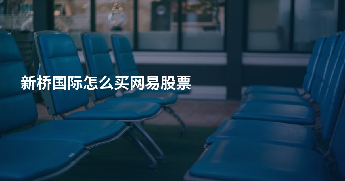 新桥国际怎么买网易股票