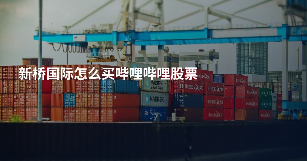 新桥国际怎么买哔哩哔哩股票
