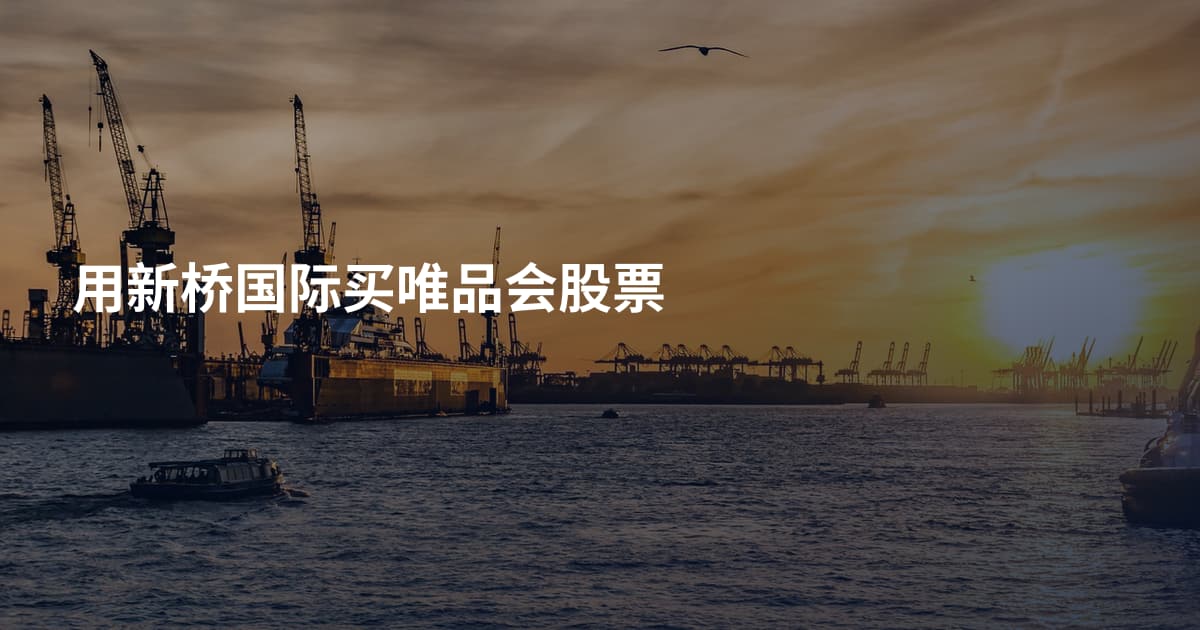 用新桥国际买唯品会股票