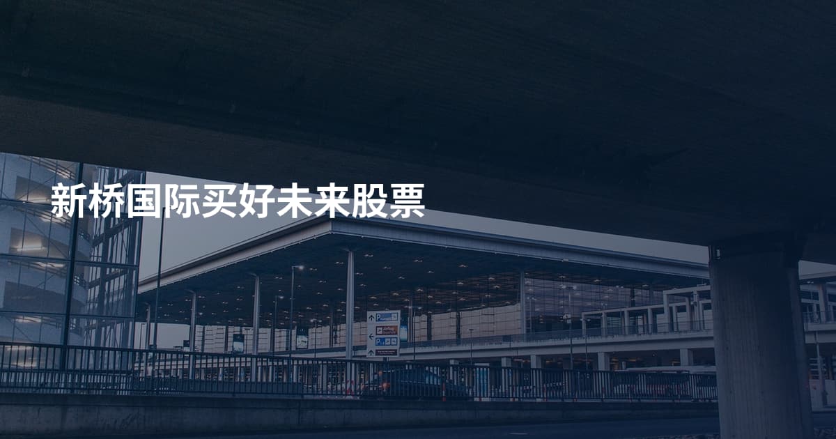 新桥国际买好未来股票