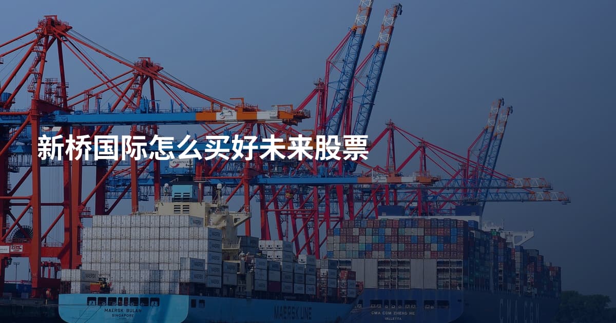 新桥国际怎么买好未来股票