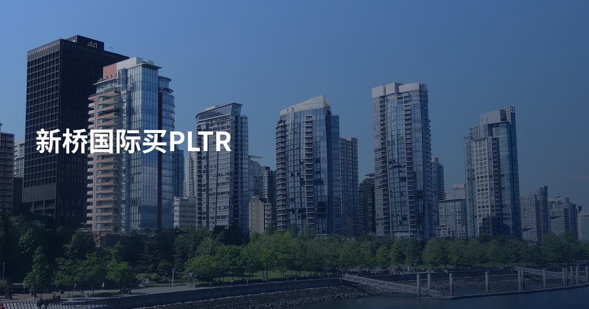 新桥国际买PLTR