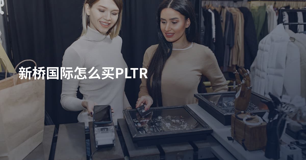 新桥国际怎么买PLTR