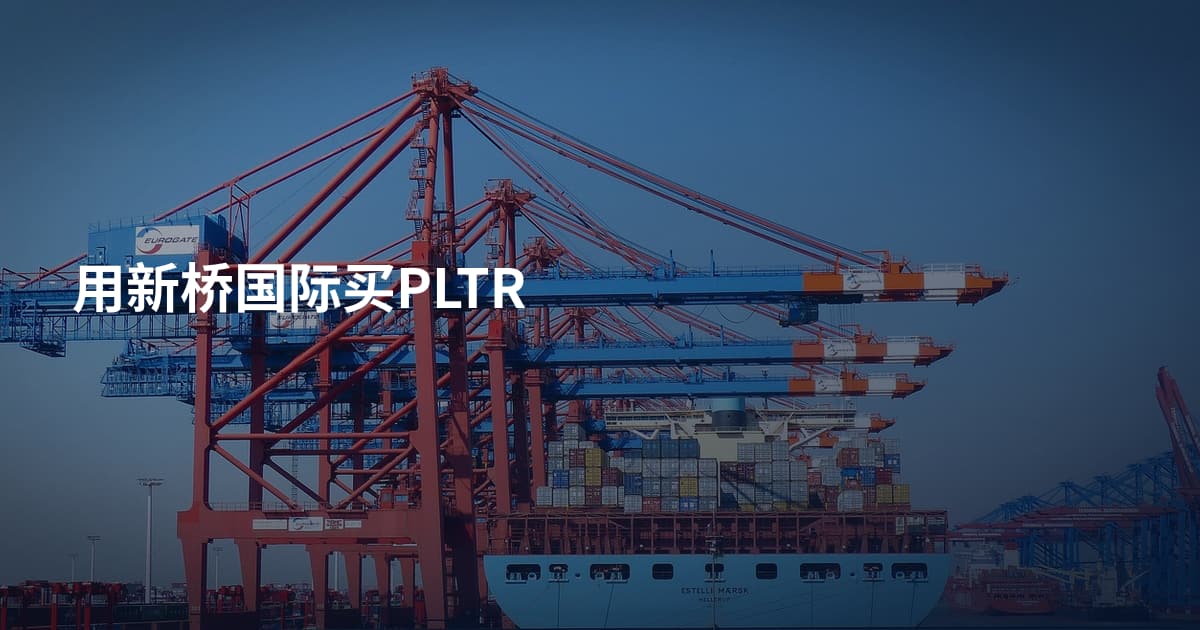 用新桥国际买PLTR