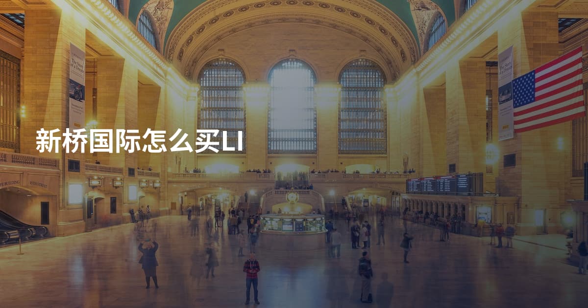 新桥国际怎么买LI