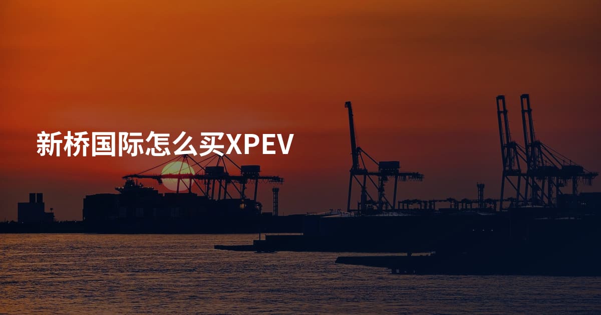 新桥国际怎么买XPEV