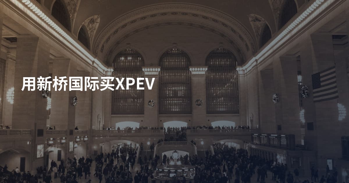 用新桥国际买XPEV