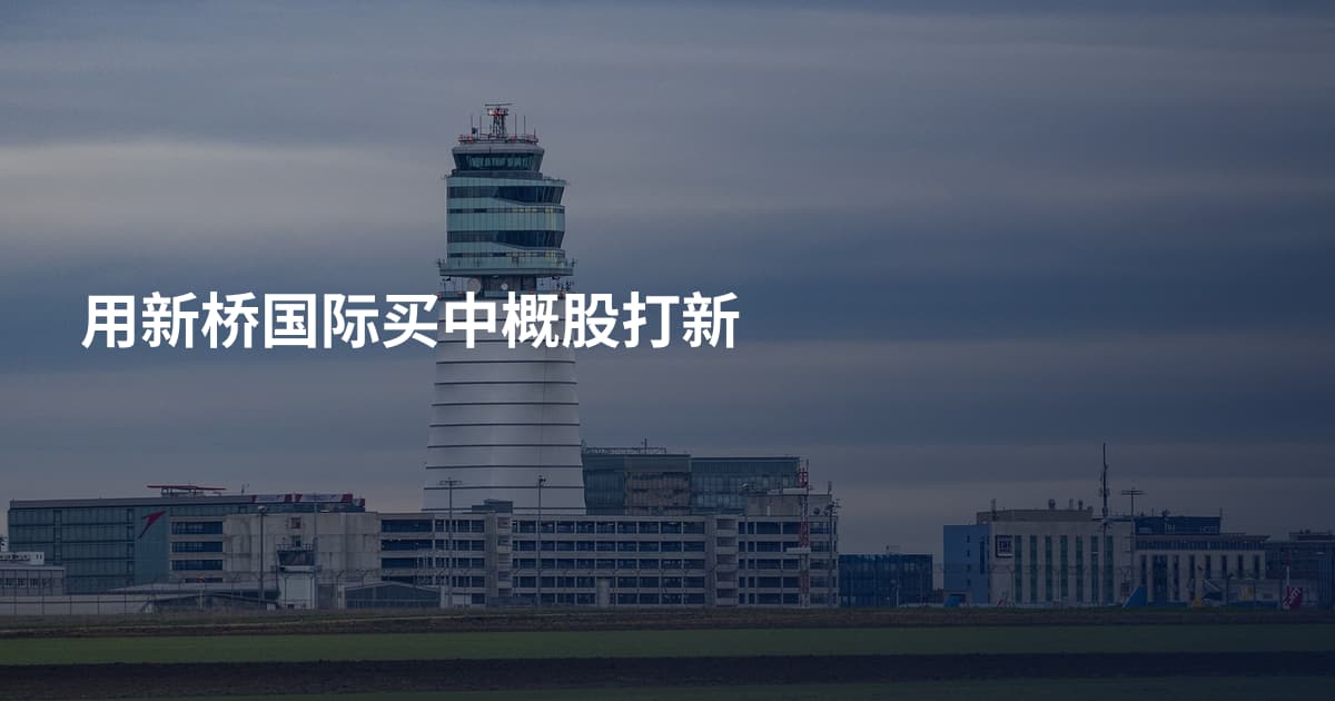 用新桥国际买中概股打新