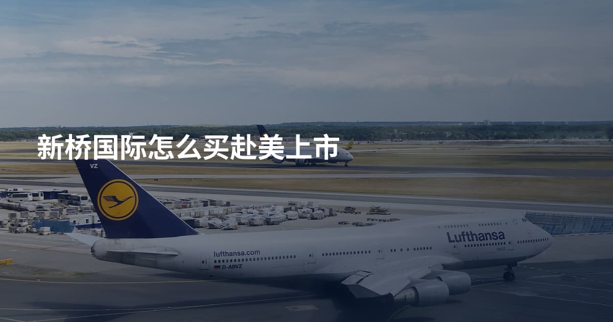 新桥国际怎么买赴美上市