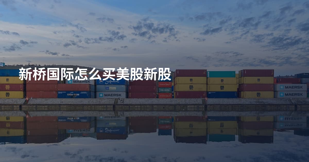 新桥国际怎么买美股新股