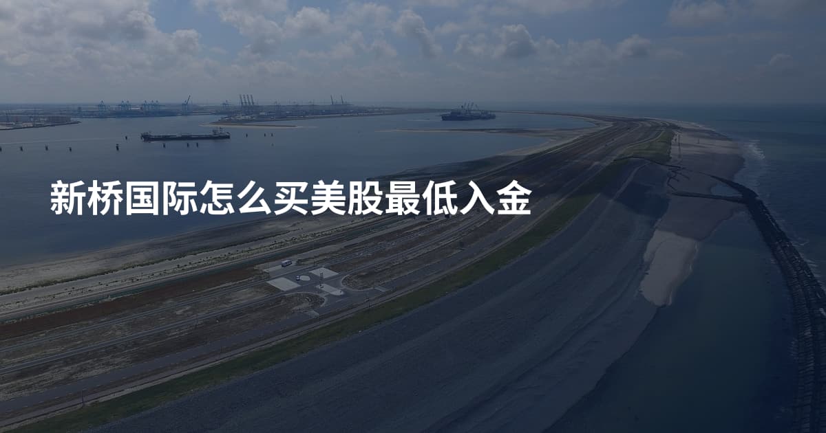 新桥国际怎么买美股最低入金