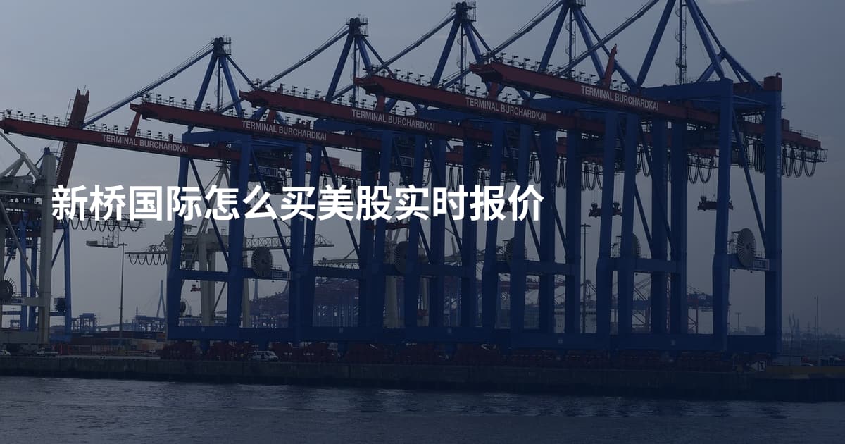 新桥国际怎么买美股实时报价