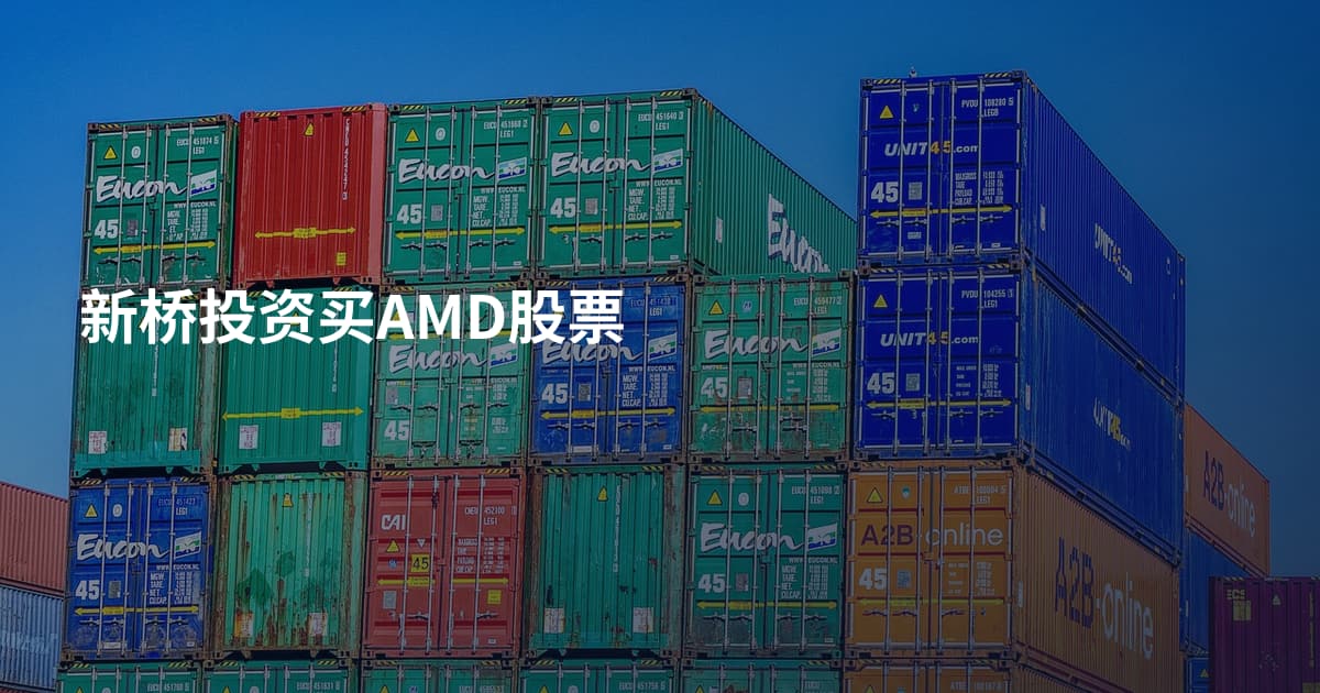 新桥投资买AMD股票
