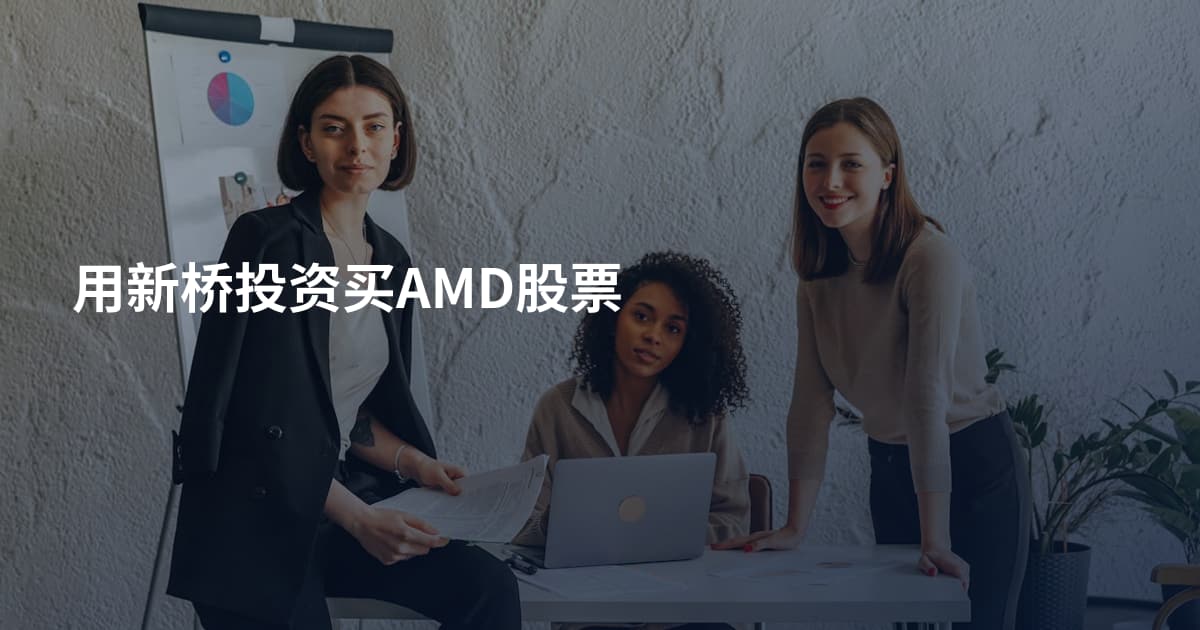 用新桥投资买AMD股票