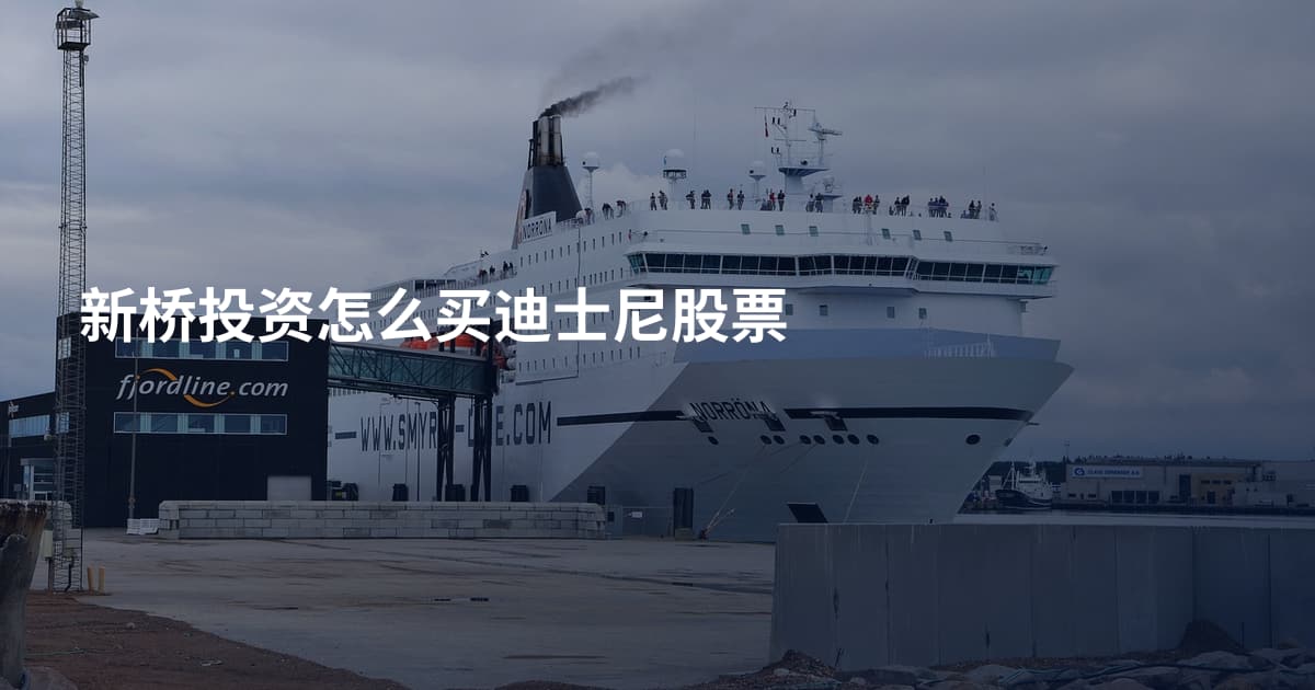 新桥投资怎么买迪士尼股票