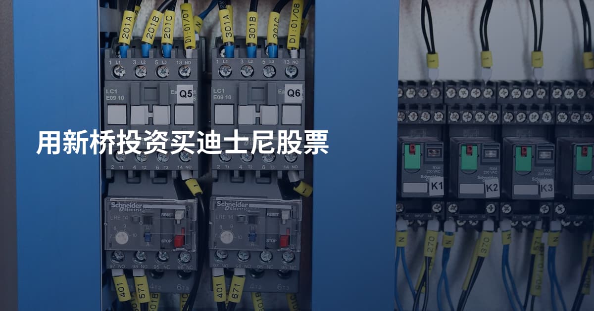 用新桥投资买迪士尼股票
