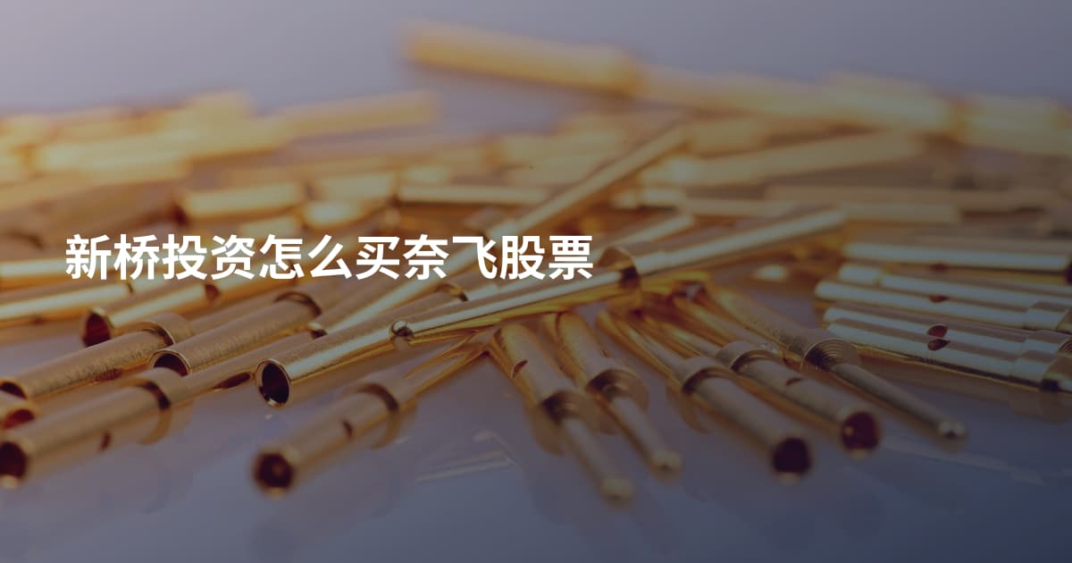 新桥投资怎么买奈飞股票