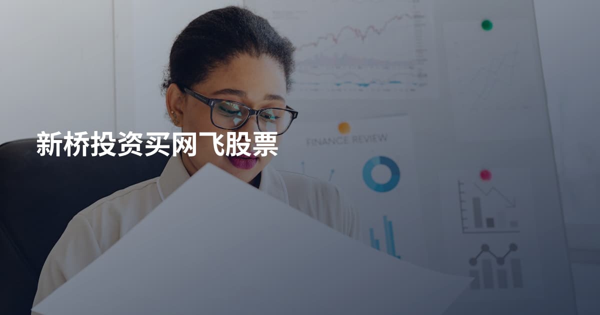 新桥投资买网飞股票