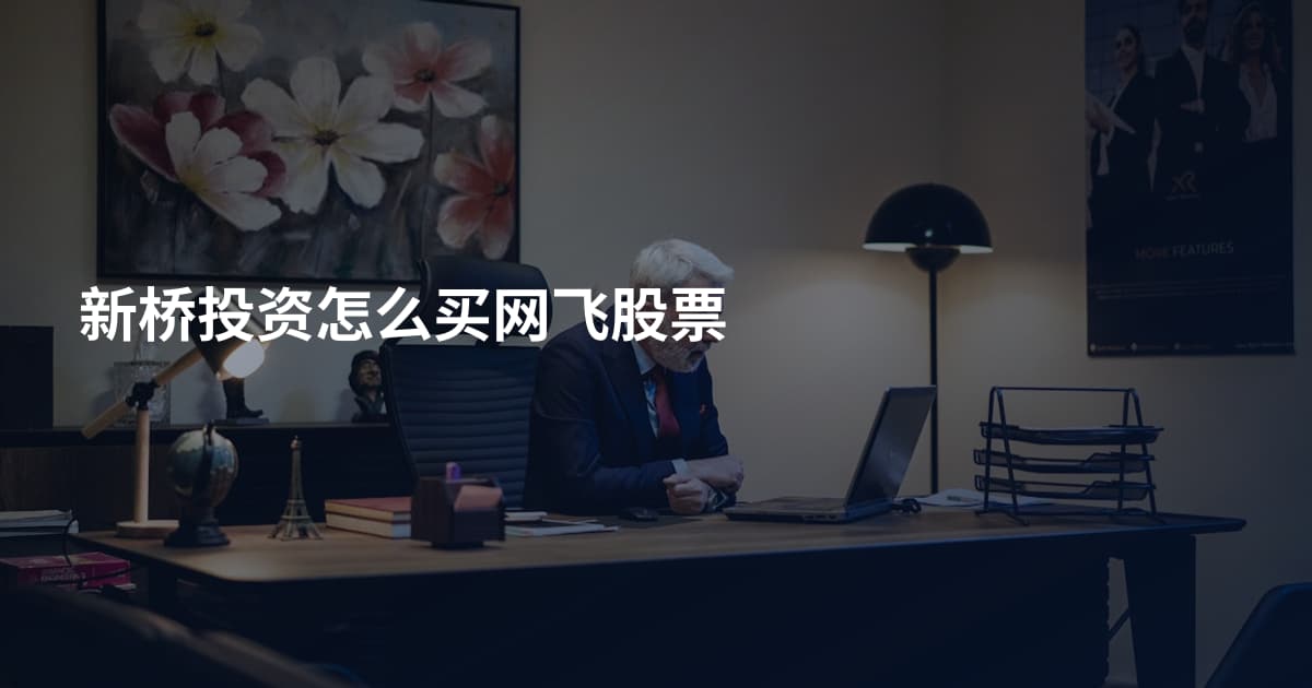新桥投资怎么买网飞股票