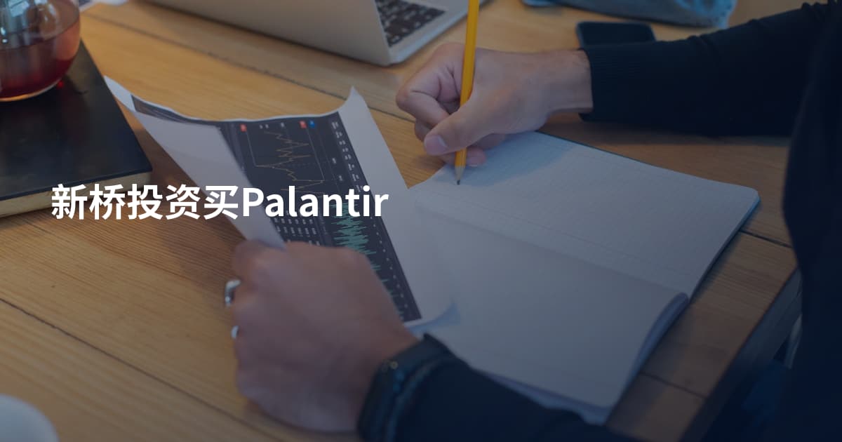 新桥投资买Palantir