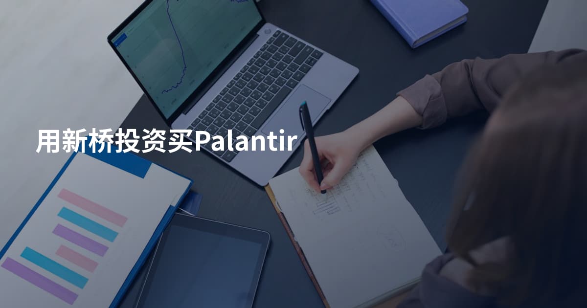 用新桥投资买Palantir