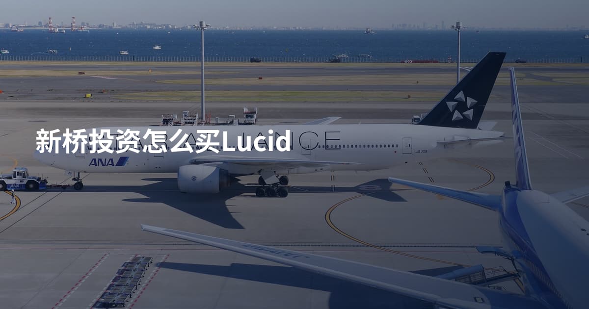 新桥投资怎么买Lucid