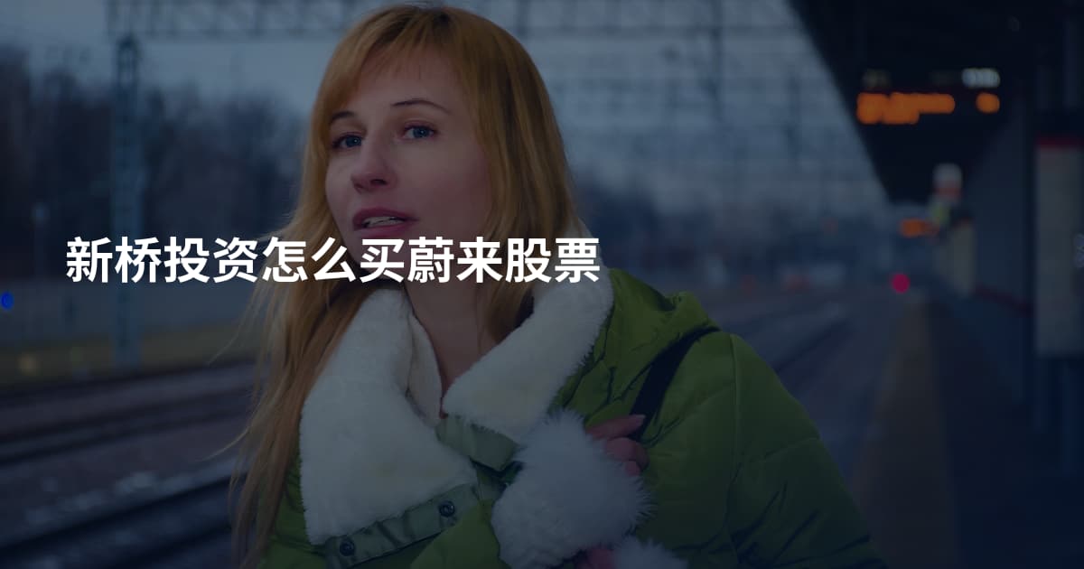 新桥投资怎么买蔚来股票