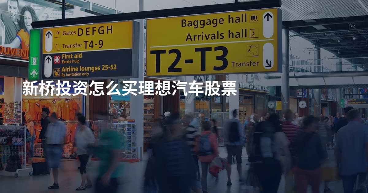 新桥投资怎么买理想汽车股票