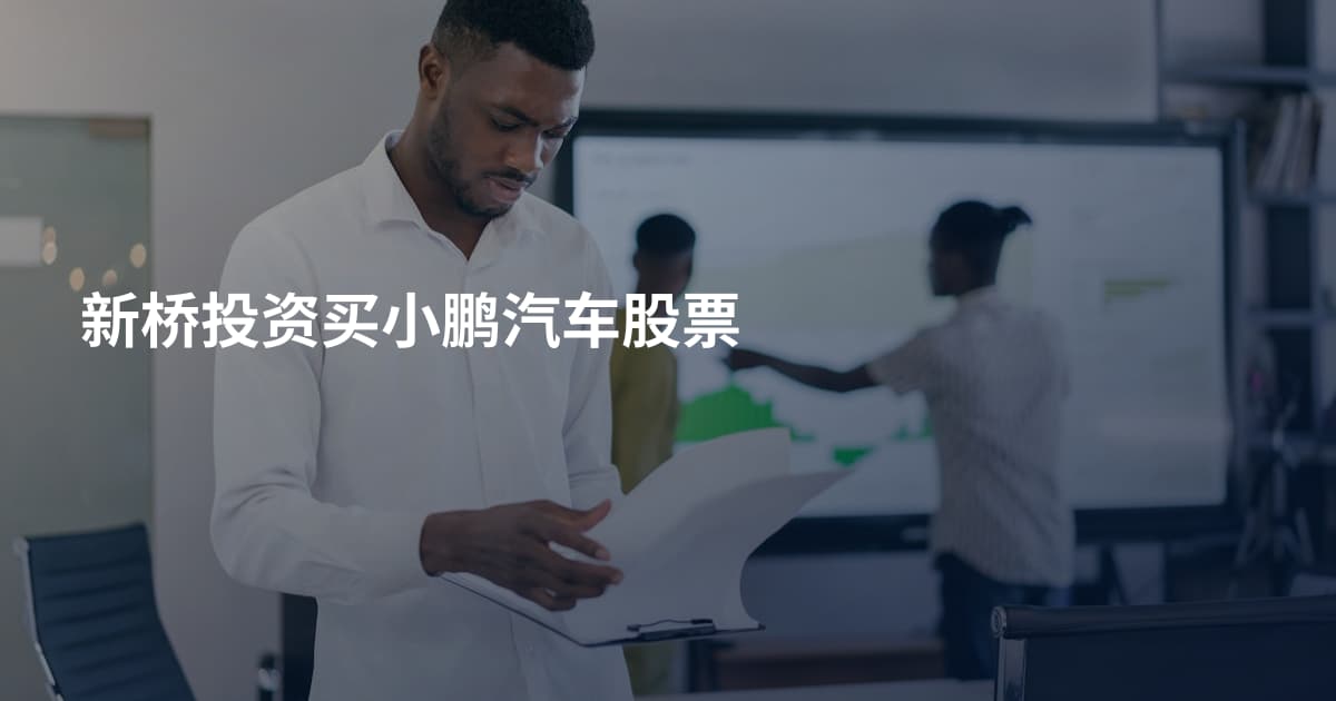 新桥投资买小鹏汽车股票