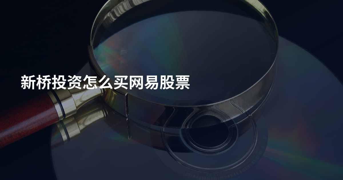 新桥投资怎么买网易股票