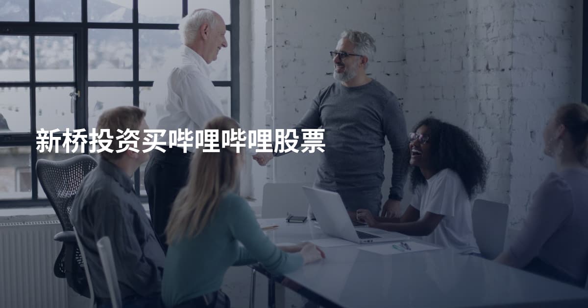 新桥投资买哔哩哔哩股票