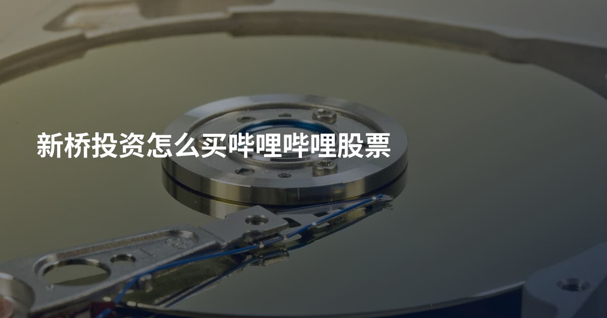 新桥投资怎么买哔哩哔哩股票