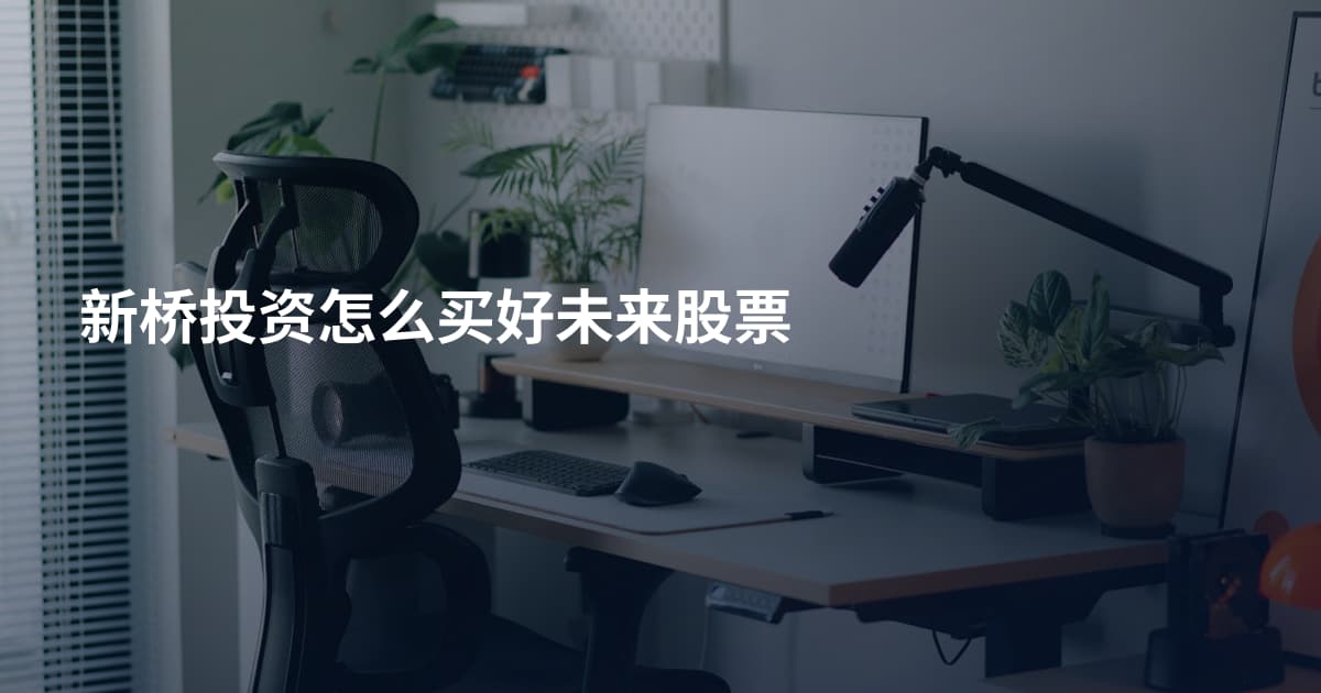 新桥投资怎么买好未来股票
